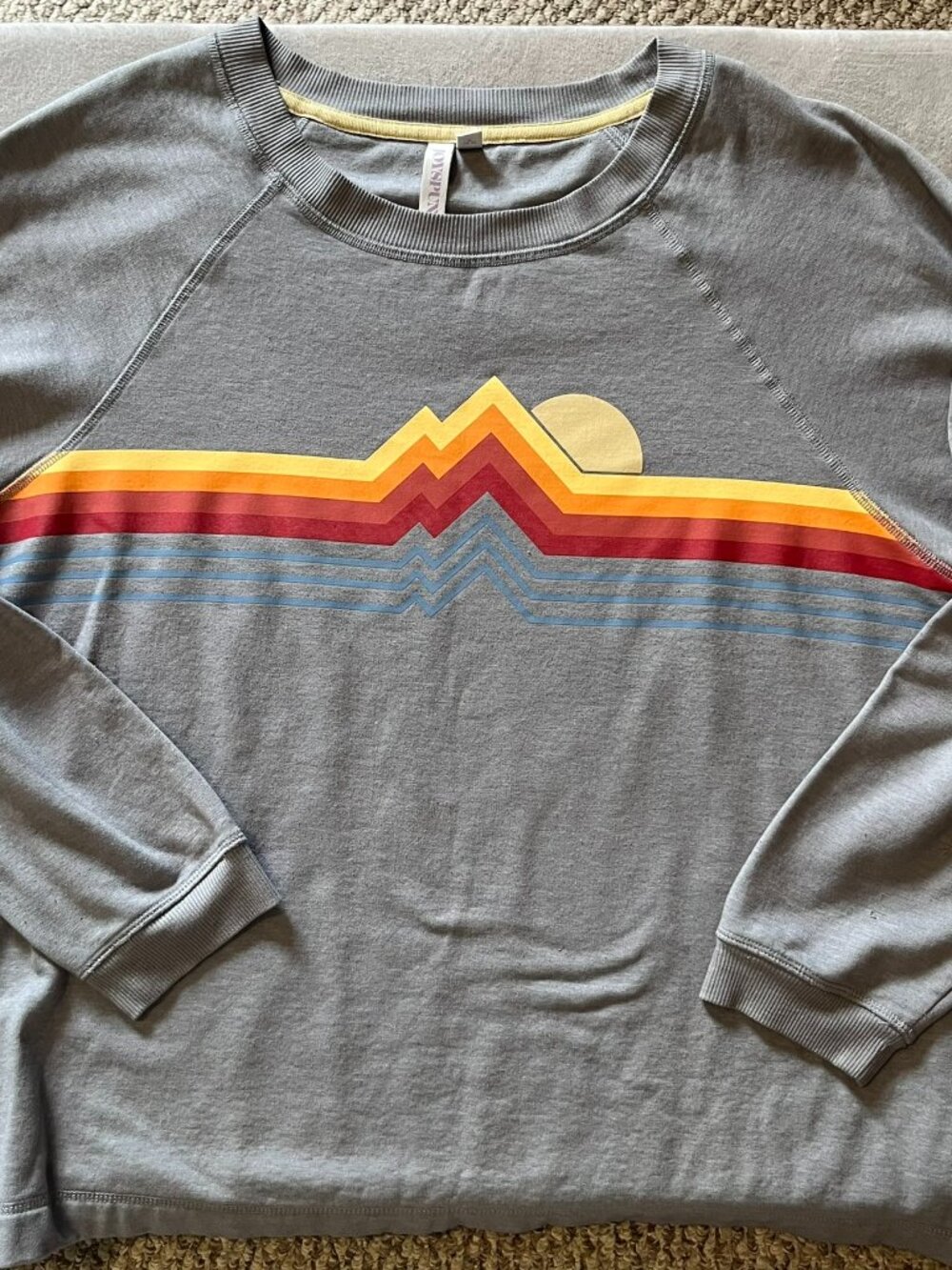Joyspun Women’s Soft Crewneck Sweatshirt Gray Sunrise Sunset XL